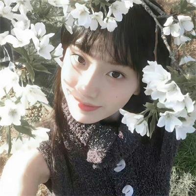 夏日光年海报